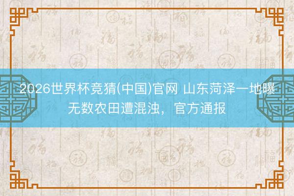 2026世界杯竞猜(中国)官网 山东菏泽一地曝无数农田遭混浊，官方通报