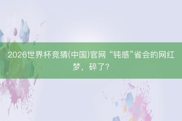 2026世界杯竞猜(中国)官网 “钝感”省会的网红梦，碎了？