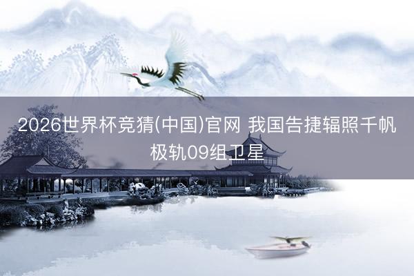 2026世界杯竞猜(中国)官网 我国告捷辐照千帆极轨09组卫星