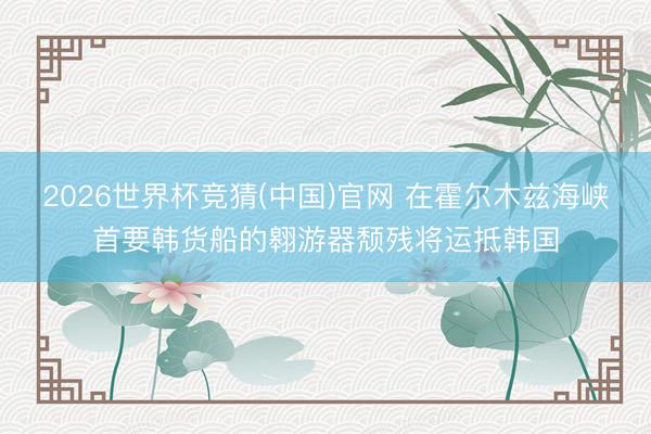 2026世界杯竞猜(中国)官网 在霍尔木兹海峡首要韩货船的翱游器颓残将运抵韩国
