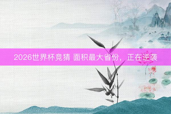 2026世界杯竞猜 面积最大省份，正在逆袭