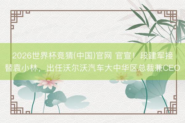 2026世界杯竞猜(中国)官网 官宣！段建军接替袁小林，出任沃尔沃汽车大中华区总裁兼CEO