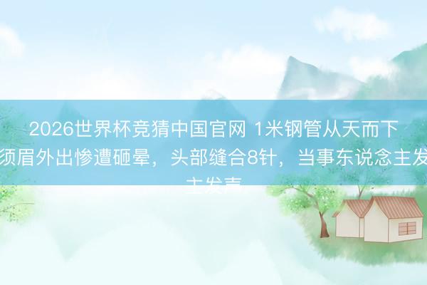 2026世界杯竞猜中国官网 1米钢管从天而下，须眉外出惨遭砸晕，头部缝合8针，当事东说念主发声