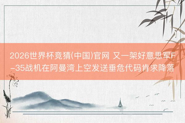 2026世界杯竞猜(中国)官网 又一架好意思军F-35战机在阿曼湾上空发送垂危代码肯求降落