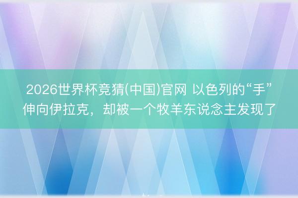 2026世界杯竞猜(中国)官网 以色列的“手”伸向伊拉克，却被一个牧羊东说念主发现了