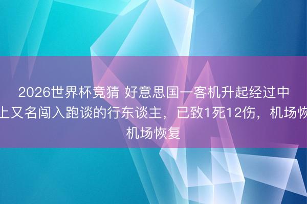 2026世界杯竞猜 好意思国一客机升起经过中撞上又名闯入跑谈的行东谈主，已致1死12伤，机场恢复