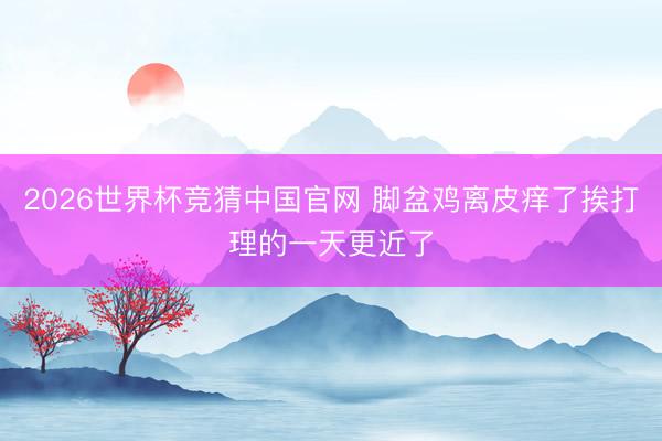2026世界杯竞猜中国官网 脚盆鸡离皮痒了挨打理的一天更近了