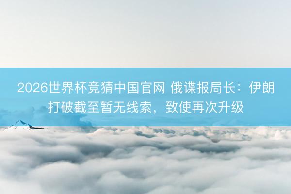 2026世界杯竞猜中国官网 俄谍报局长:伊朗打破截至暂无线索,致使再次升级