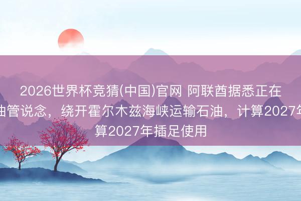 2026世界杯竞猜(中国)官网 阿联酋据悉正在配置新输油管说念，绕开霍尔木兹海峡运输石油，计算2027年插足使用