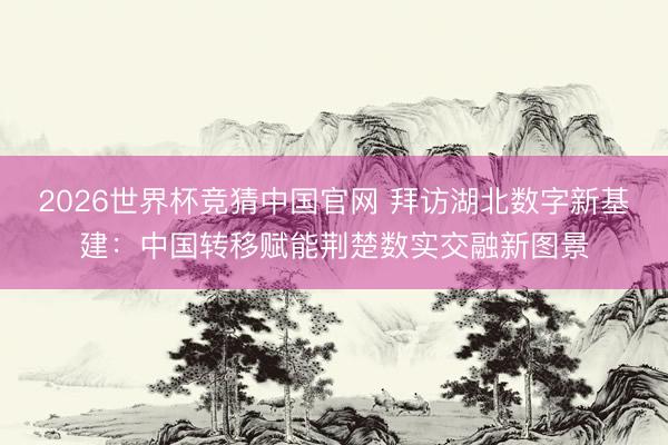 2026世界杯竞猜中国官网 拜访湖北数字新基建：中国转移赋能荆楚数实交融新图景