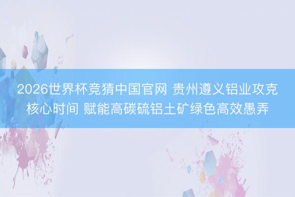 2026世界杯竞猜中国官网 贵州遵义铝业攻克核心时间 赋能高碳硫铝土矿绿色高效愚弄