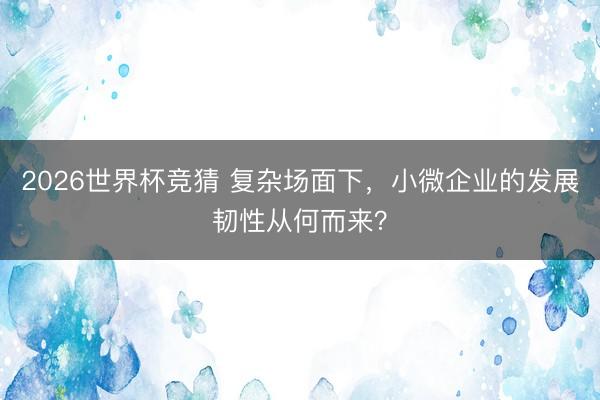 2026世界杯竞猜 复杂场面下，小微企业的发展韧性从何而来？