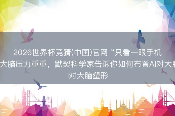 2026世界杯竞猜(中国)官网 “只看一眼手机”就让大脑压力重重，默契科学家告诉你如何布置AI对大脑塑形