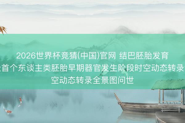 2026世界杯竞猜(中国)官网 结巴胚胎发育黑箱：群众首个东谈主类胚胎早期器官发生阶段时空动态转录全景图问世