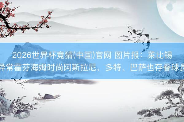 2026世界杯竞猜(中国)官网 图片报：莱比锡异常霍芬海姆时尚阿斯拉尼，多特、巴萨也存眷球员