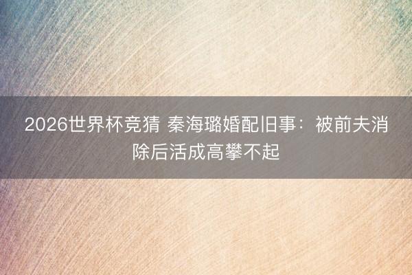 2026世界杯竞猜 秦海璐婚配旧事:被前夫消除后活成高攀不起