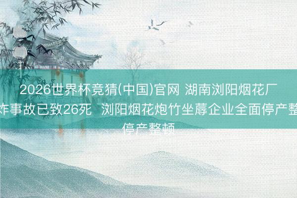 2026世界杯竞猜(中国)官网 湖南浏阳烟花厂爆炸事故已致26死  浏阳烟花炮竹坐蓐企业全面停产整顿