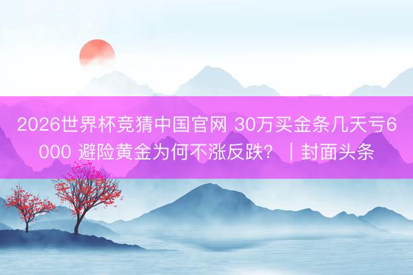 2026世界杯竞猜中国官网 30万买金条几天亏6000 避险黄金为何不涨反跌？｜封面头条