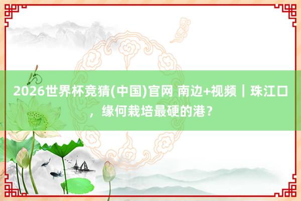 2026世界杯竞猜(中国)官网 南边+视频|珠江口,缘何栽培最硬的港?