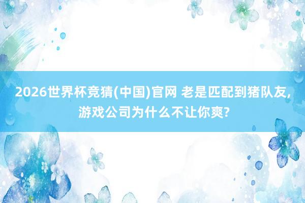 2026世界杯竞猜(中国)官网 老是匹配到猪队友， 游戏公司为什么不让你爽?