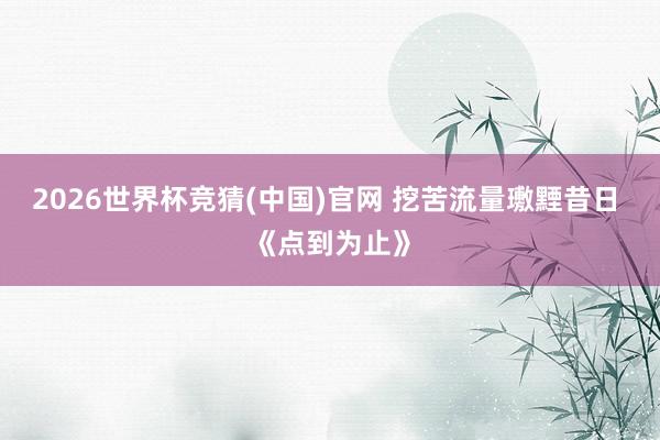 2026世界杯竞猜(中国)官网 挖苦流量璷黫昔日 《点到为止》